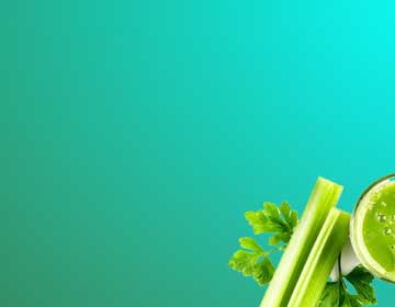 Sellerie - knackig, gesund und vielseitig Sellerie - knackig, gesund und vielseitig